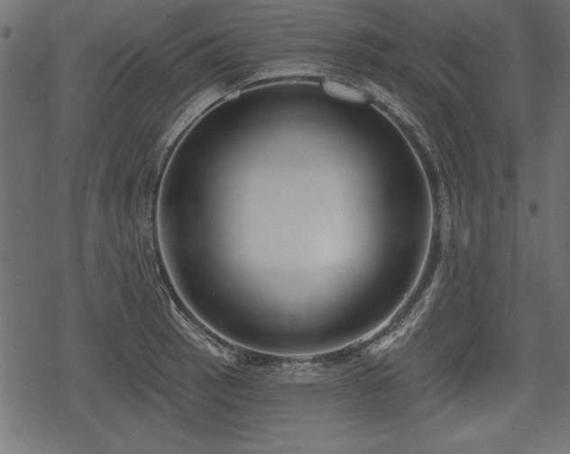 X0000078291137200611031225