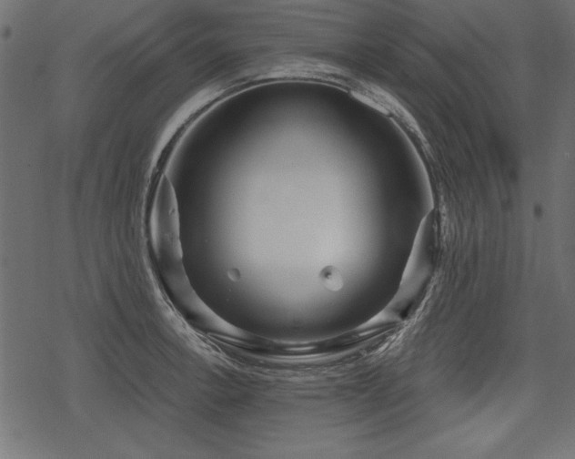 X0000078291138200611031225