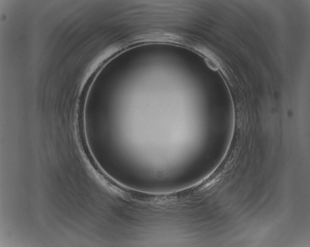 X0000078291139200611031225