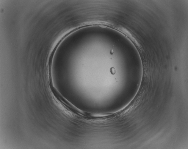 X0000078291140200611031225