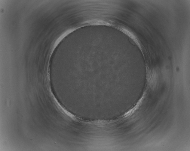 X0000078291141200611031225