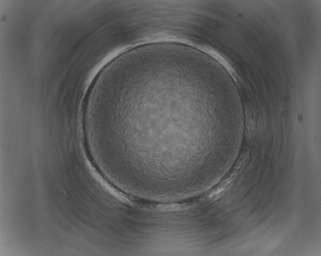 X0000078291142200611031225