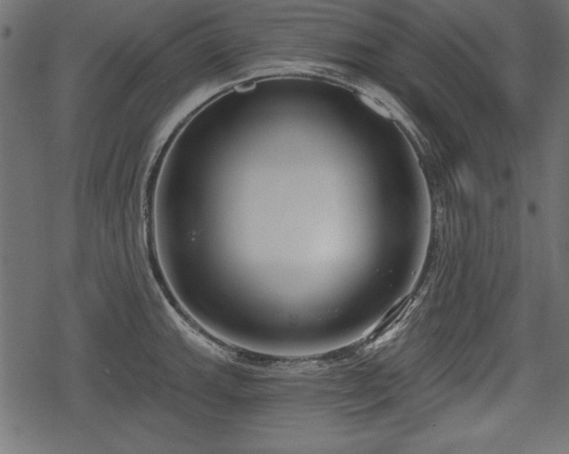 X0000078291143200611031225