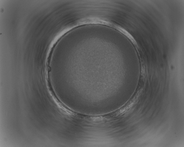 X0000078291144200611031225