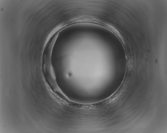 X0000078291146200611031225