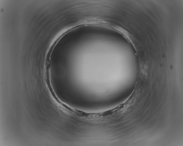 X0000078291147200611031225