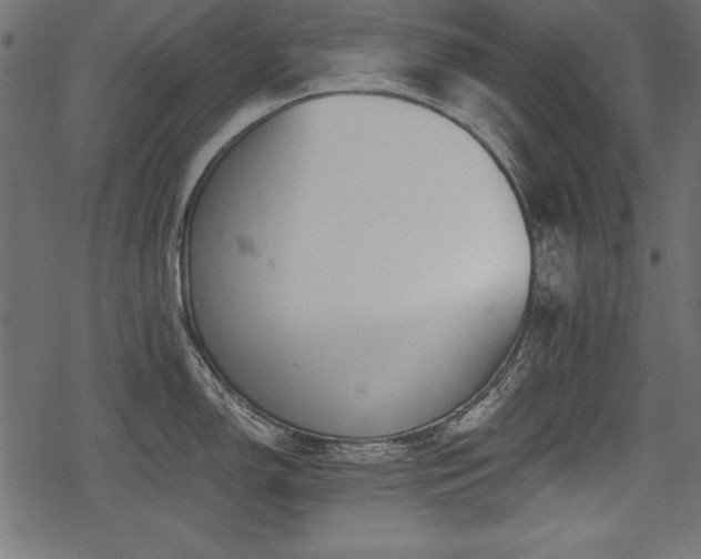 X0000078291150200611031225