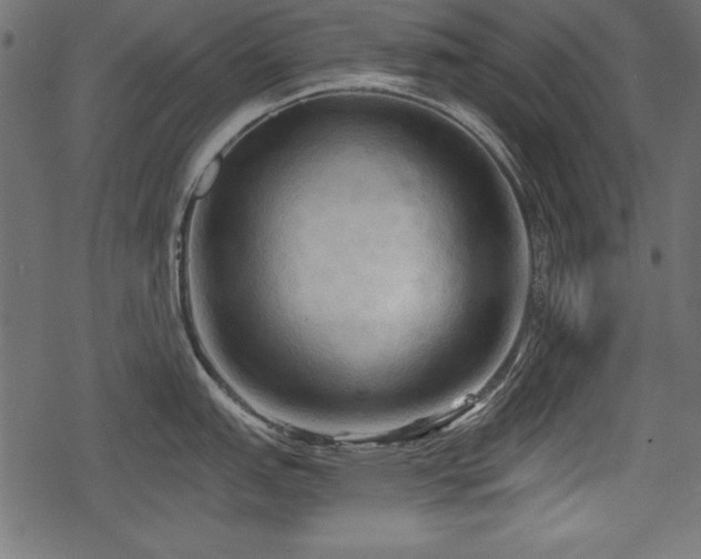 X0000078291151200611031225