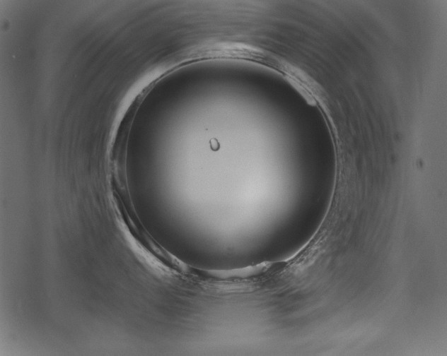 X0000078291152200611031225