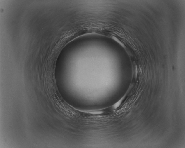 X0000078291153200611031224