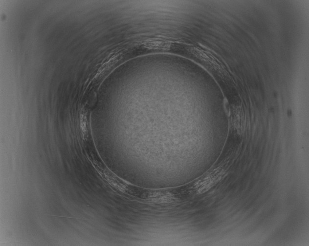 X0000078291154200611031224