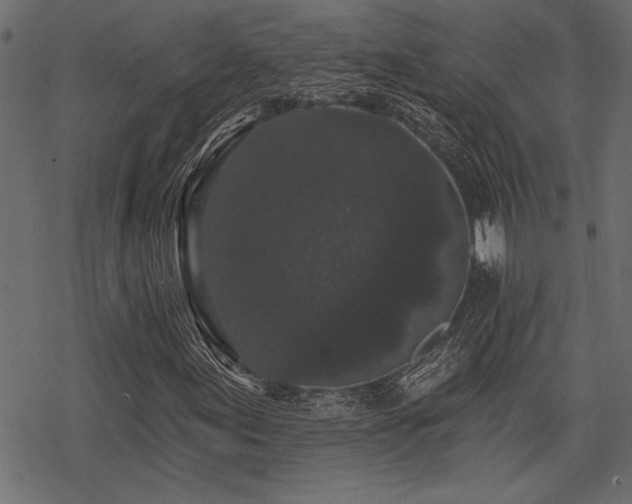 X0000078291155200611031224