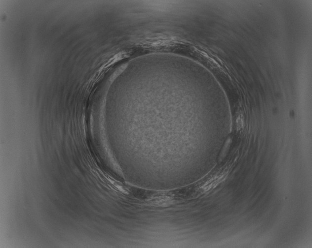 X0000078291156200611031224