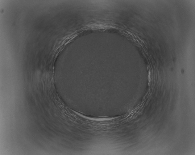 X0000078291157200611031224