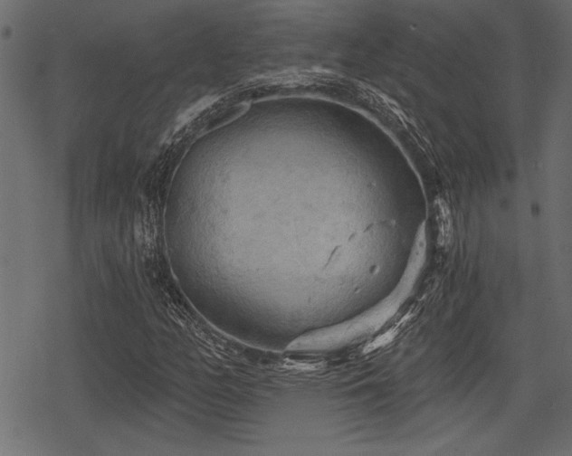 X0000078291158200611031224