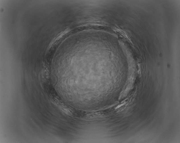 X0000078291159200611031224