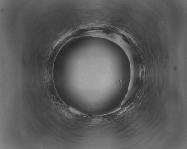 X0000078291160200611031224