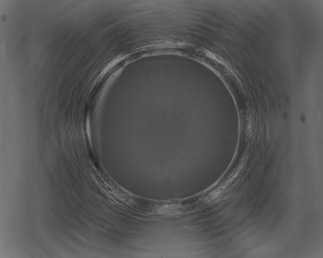 X0000078291161200611031224