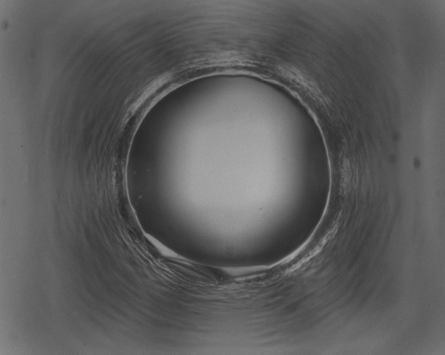 X0000078291162200611031224