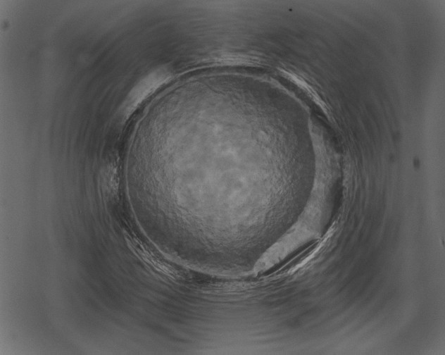 X0000078291163200611031224