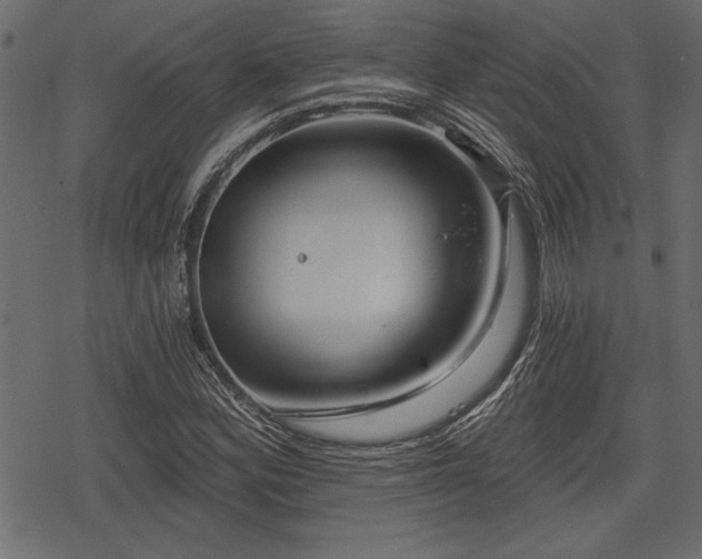 X0000078291164200611031224