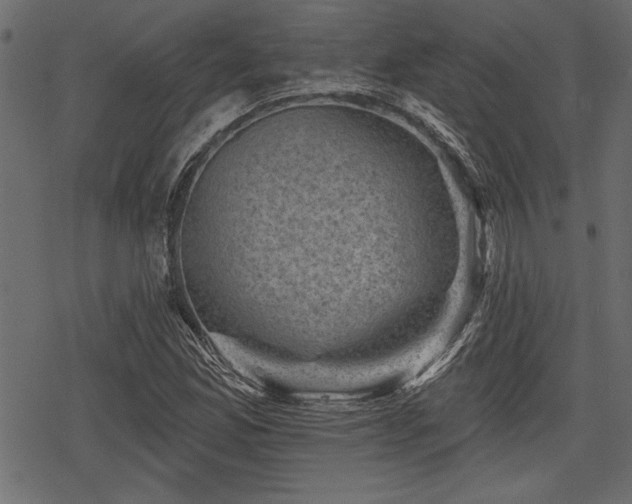 X0000078291165200611031224