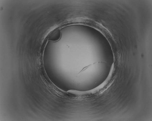 X0000078291166200611031224