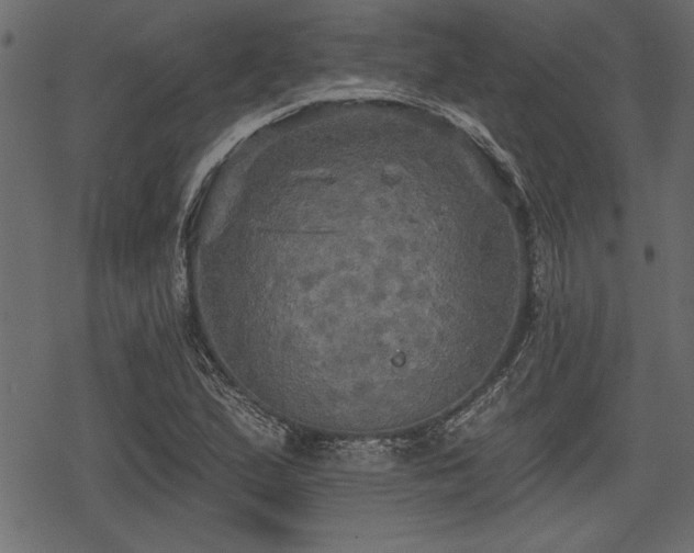 X0000078291167200611031224