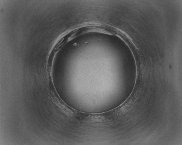 X0000078291168200611031224