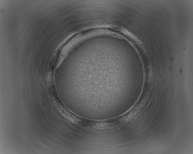 X0000078291169200611031224