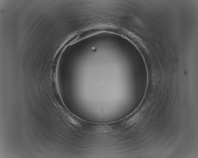 X0000078291170200611031224