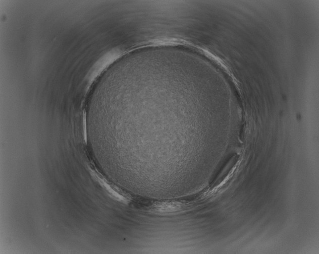 X0000078291171200611031224