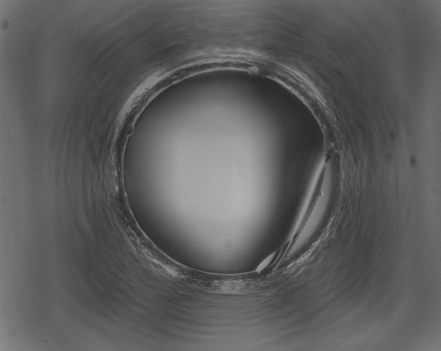 X0000078291172200611031224