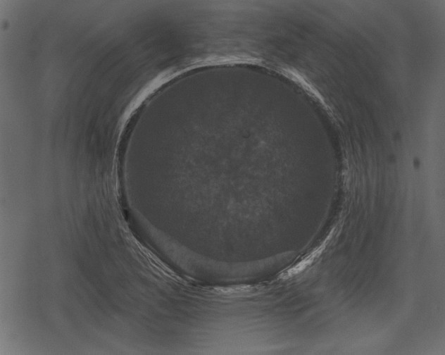 X0000078291173200611031224