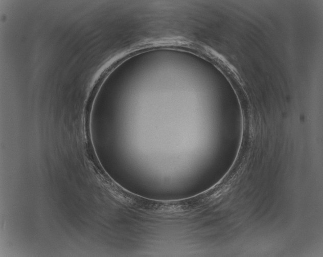 X0000078291174200611031224