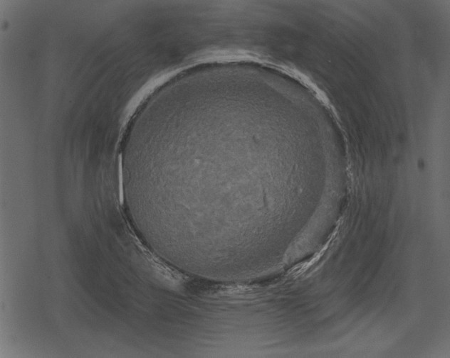 X0000078291175200611031224