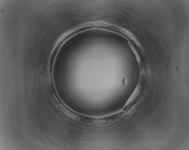 X0000078291176200611031224