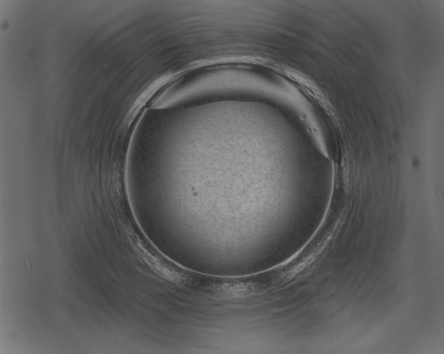 X0000078291177200611031224