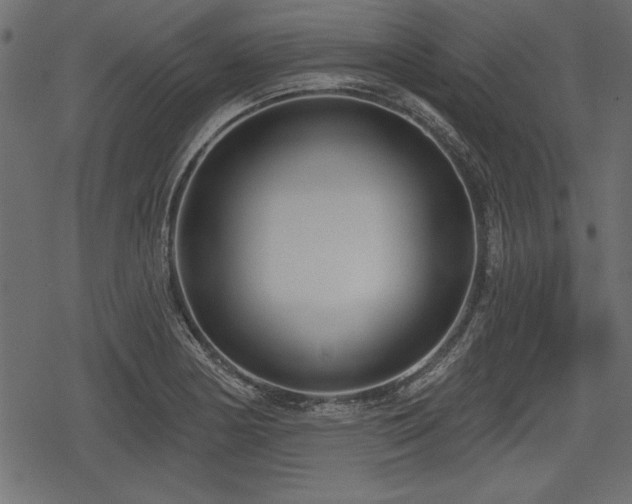 X0000078291178200611031224