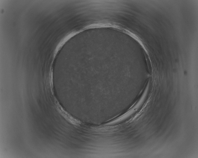 X0000078291179200611031224