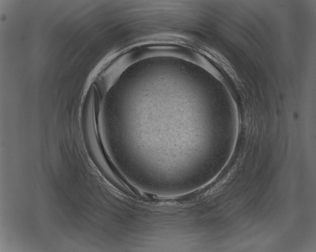 X0000078291180200611031224