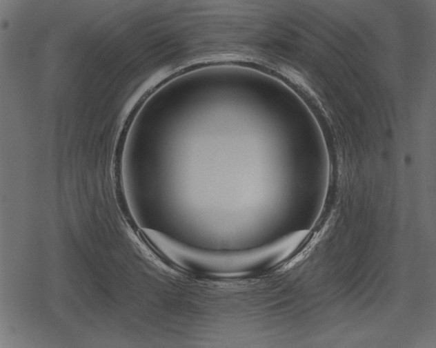 X0000078291181200611031224