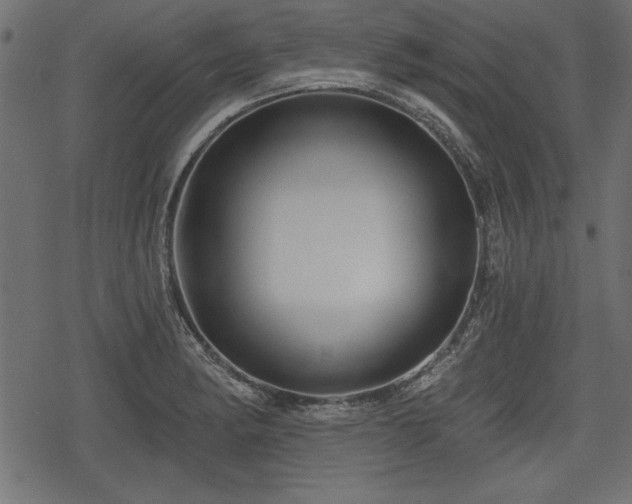 X0000078291182200611031224