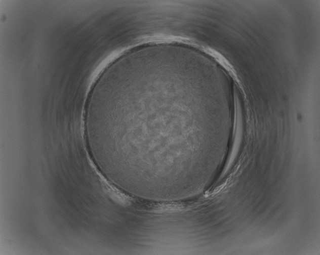 X0000078291183200611031224