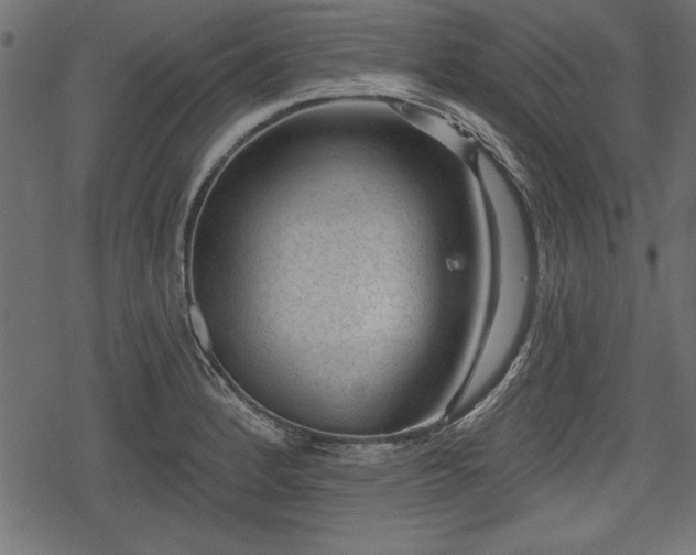 X0000078291184200611031224