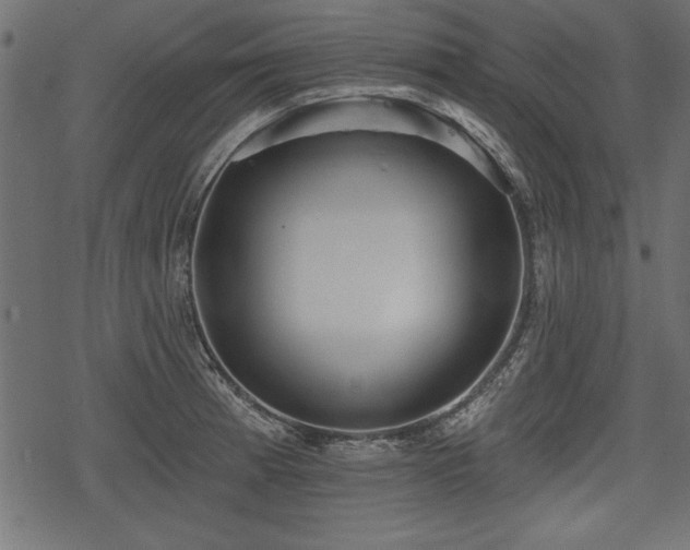 X0000078291185200611031224