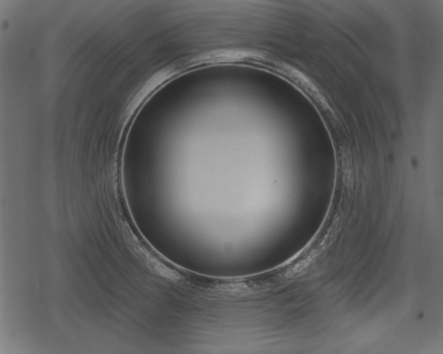 X0000078291186200611031224