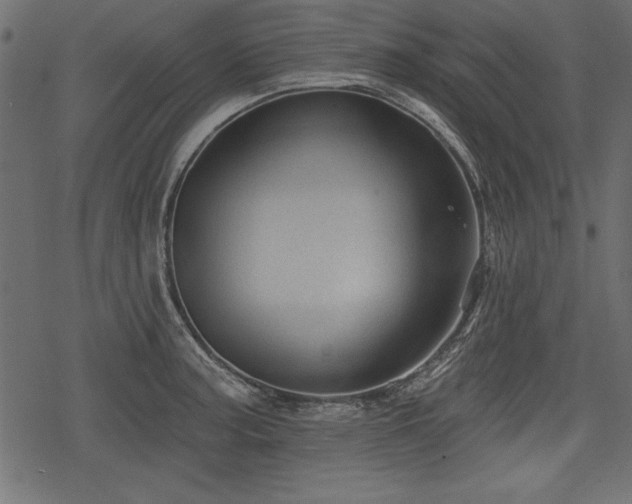 X0000078291187200611031224