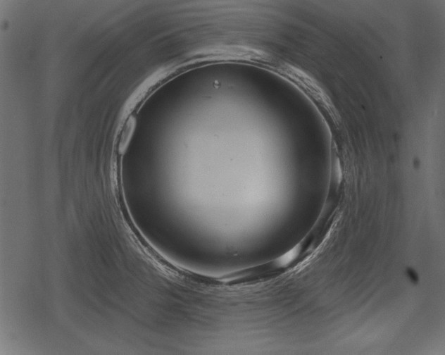 X0000078291188200611031224