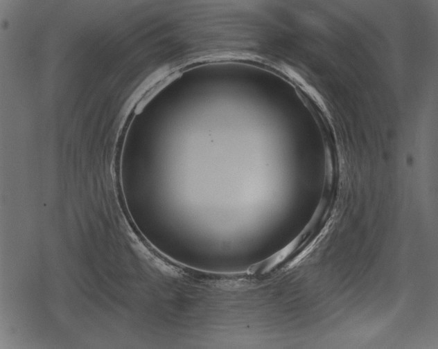 X0000078291189200611031224